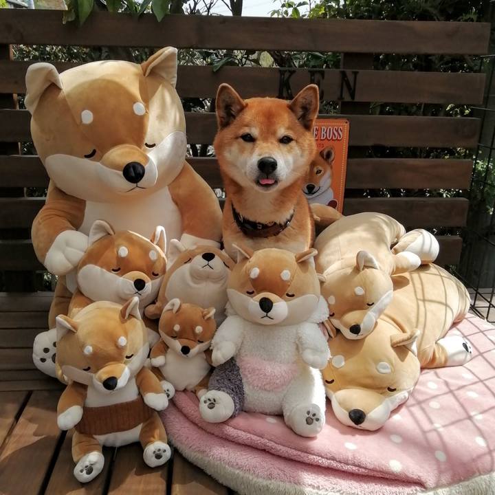 1ee44c5b 11b8 4ec7 8550 be6a85246540 1617847462123