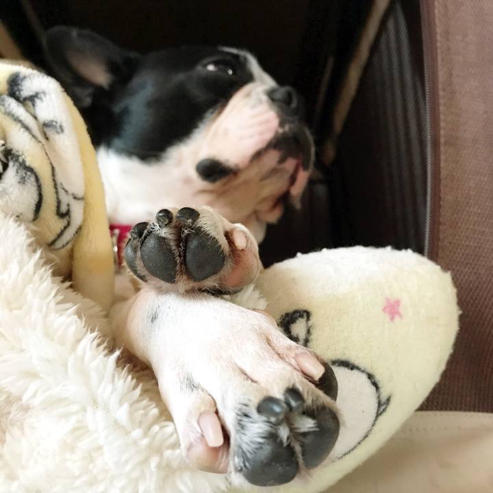 1ee45366 7ea5 4609 8e6f 55a1725b9a94 1515132899028