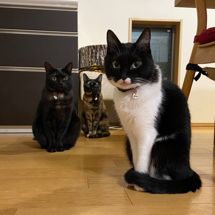 1ee48214 dae4 4008 b4b3 fe1081d37b35 1634738182108