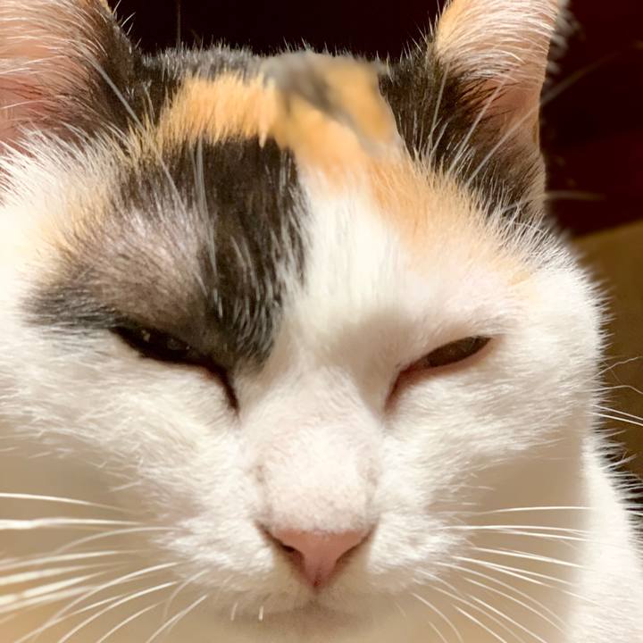 1ee49829 594e 412f 9799 6148be20cde5 1539439515381