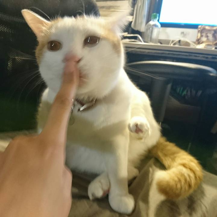 1ee4a372 f1b3 4ae9 a7ee b7f26db07c32 1551180611609