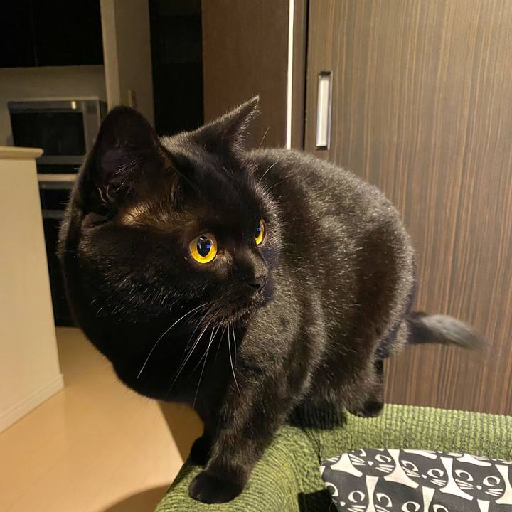 1ee4d288 a4d8 4c9c aed3 1c4fdd098593 1606124190632