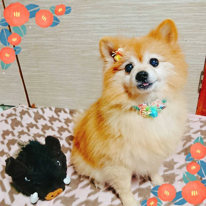 1ee4f6fc dd0a 496b 814c f96bd9f4f3a2 1546212734341