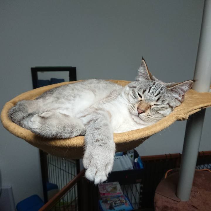 1ee56335 7d2f 4654 afe5 89d4df824f64 1557504568795