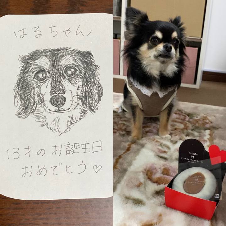 1ee56df2 bc15 453c b57a 0b1ef6704100 1612139530176