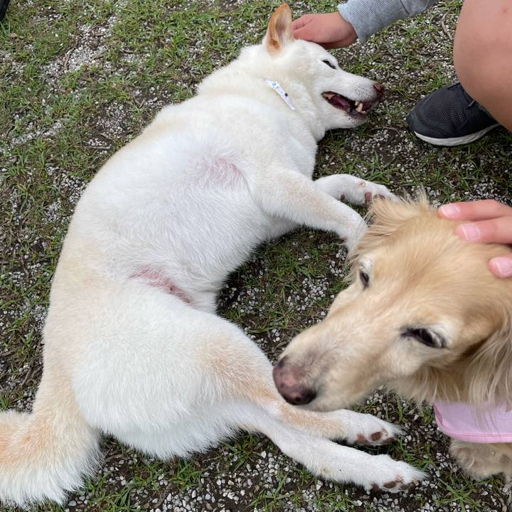 1ee578a3 8778 4c03 ad89 4ea4af1d418d 1651069357696