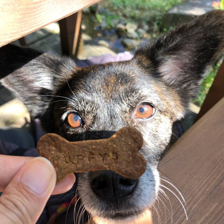 1ee5ef9e f2c3 451b 9467 556b60c3309b 1571744352061