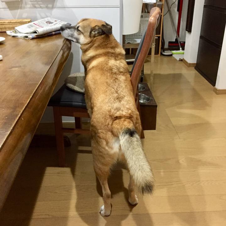 1ee5ff2e 5461 45f9 a83d 971fdfdffb67 1576504827566