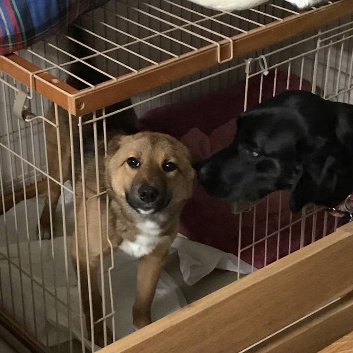 1ee606f5 78fd 4521 840f 15c14260a595 1549595407540