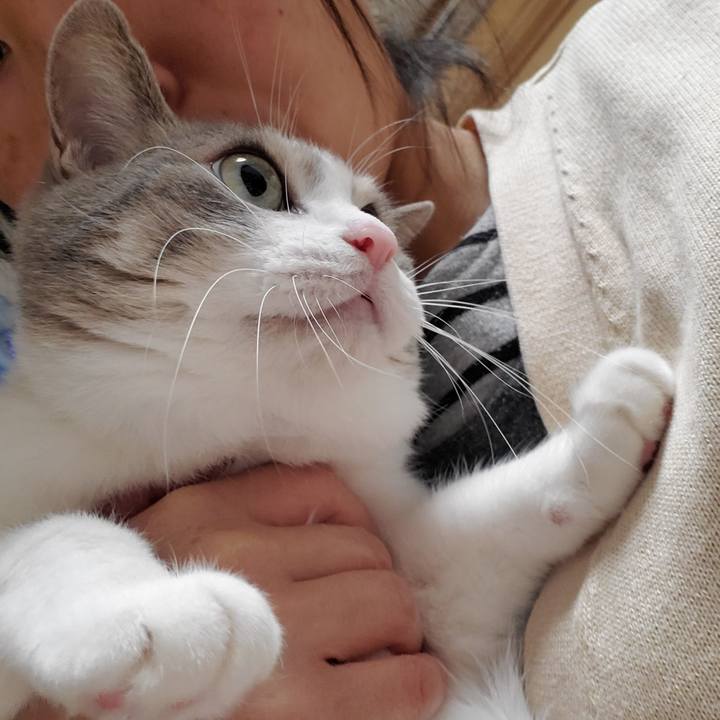 1ee634d9 972b 47ed 9ea7 5cdf8616a459 1701608423200