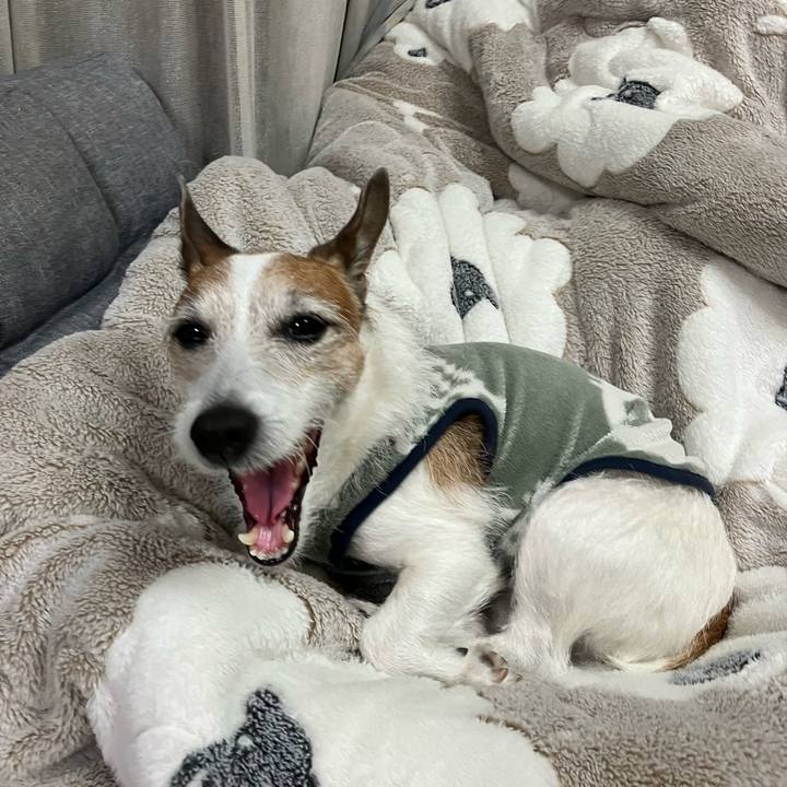 1ee65be1 beb4 4bb4 8dcd 63587dd47d7b 1679441274656