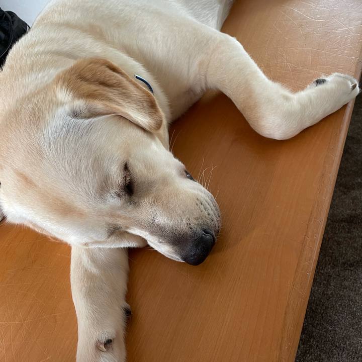 1ee6a060 f9ed 4055 b44b 47243d4ddb48 1627175823017