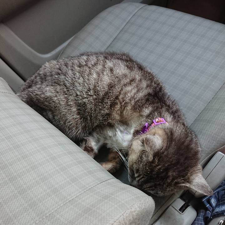 1ee6d0c7 627e 439a 94ee 710d3401d35b 1592640920944