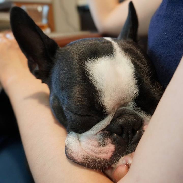 1ee6d7ac b545 4d69 a764 28b379bc9555 1528608022699