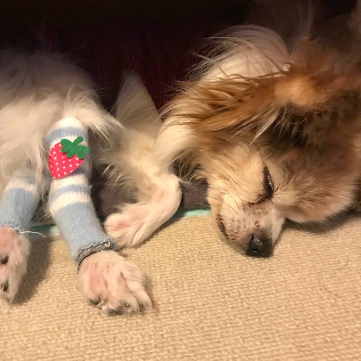 1ee6fe45 4722 4783 914d 7004d7de5399 1518872182661