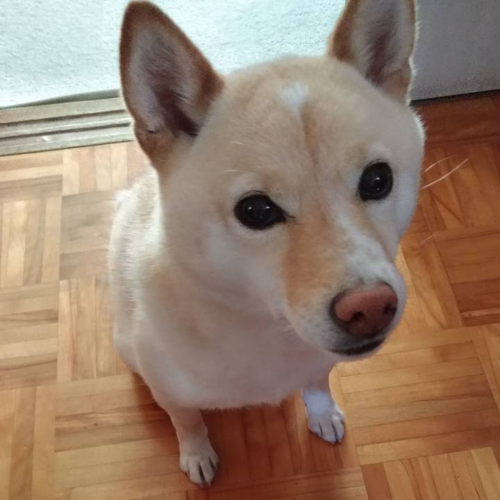 1ee703ac ea8d 4685 aade 3c29d1e866c0 1588908109250