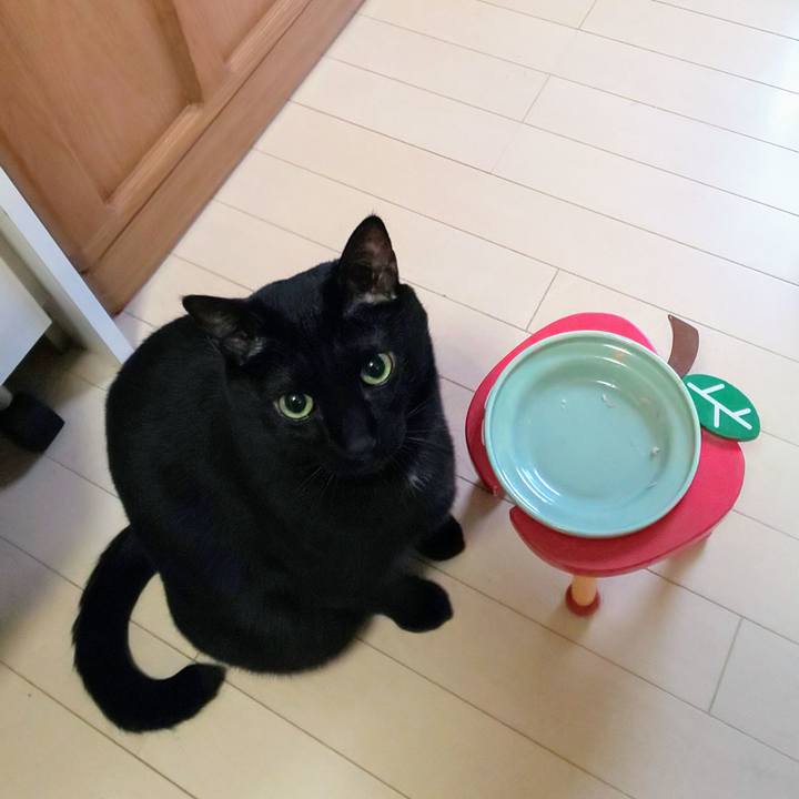 1ee72dfb a4eb 482a 88b2 09d0118d8a62 1708818003570