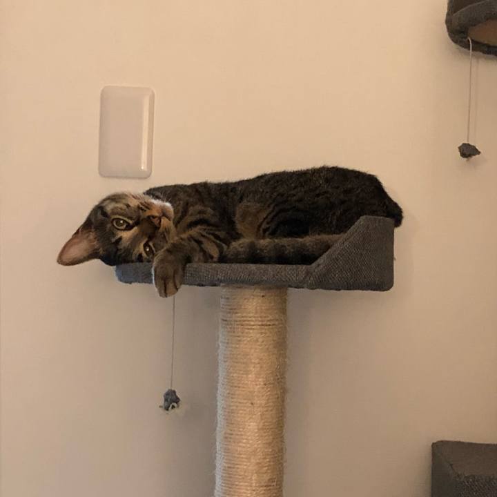 1ee740c6 ec27 4c02 ae1c de8be5c06a34 1535598363052