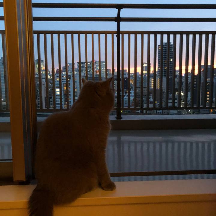 1ee7c2cc c848 4e24 9a19 e322f991f5e3 1527760687401