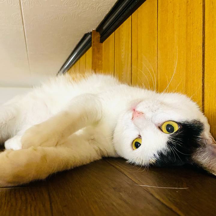 1ee7d44c a426 4abe 9e96 9548b5b4cf13 1661263885742