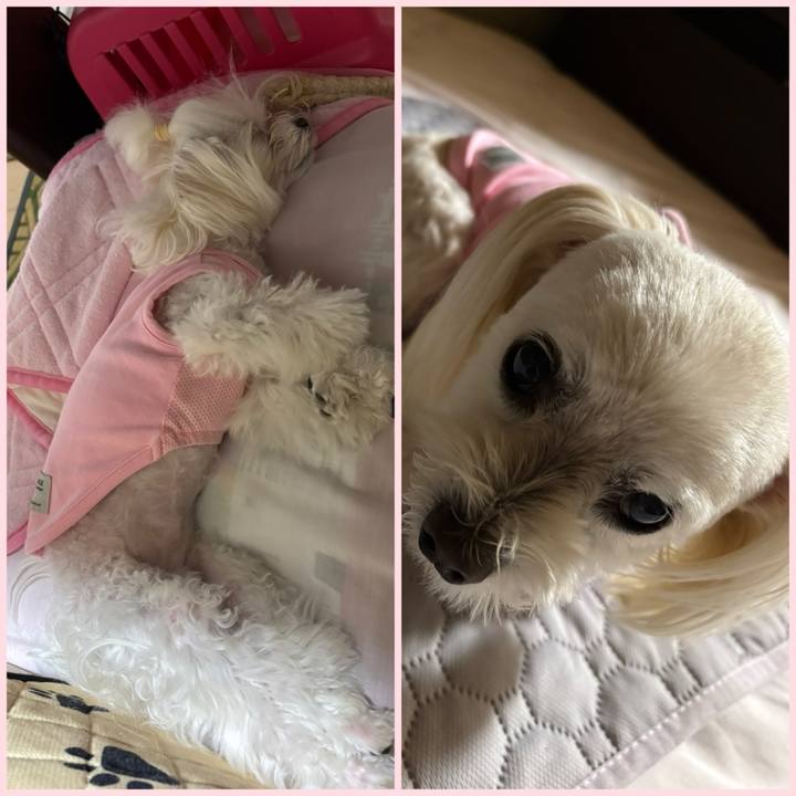 1ee7e7b9 d25e 42e3 9196 57580863dacb 1759499516052