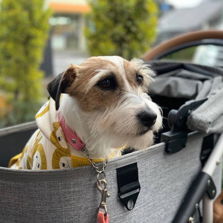 1ee806f6 dee4 4bba ba45 bc1c08877994 1616241345049