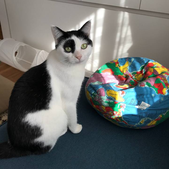 1ee808e7 d7cd 4c1f 83e6 8b999c06652f 1513135020744