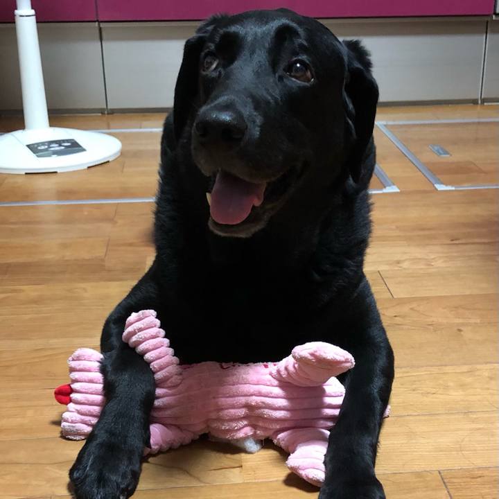 1ee8275c fa46 475d 9326 5aa242143f31 1657119862603