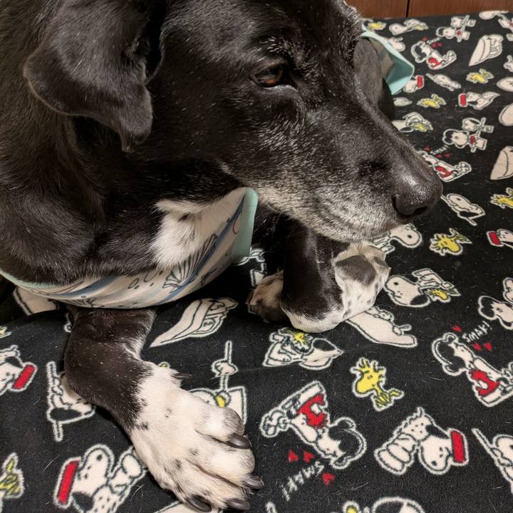 1ee86a53 7fc7 45ea b45f 30341dde2b58 1734299488658