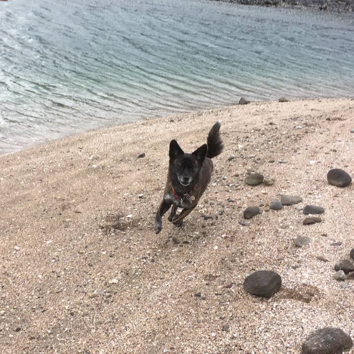 1ee86cd7 0ba6 424e bcf0 567ac8cff128 1519813556428