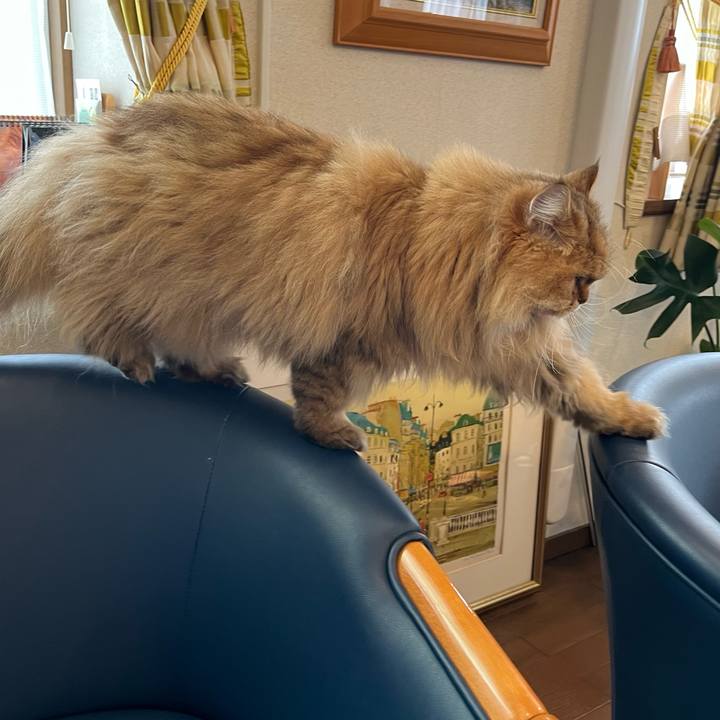 1ee87e53 c86b 4472 a5c5 18da1dd070eb 1646999308060