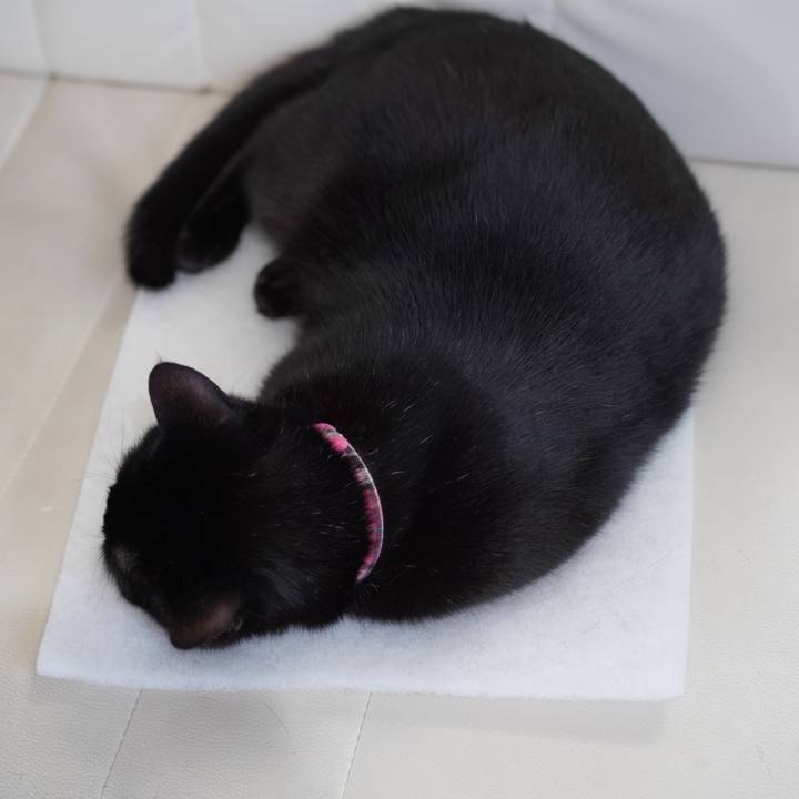 1ee8f139 bd37 4541 9058 ad3c8f6023d4 1618756705686