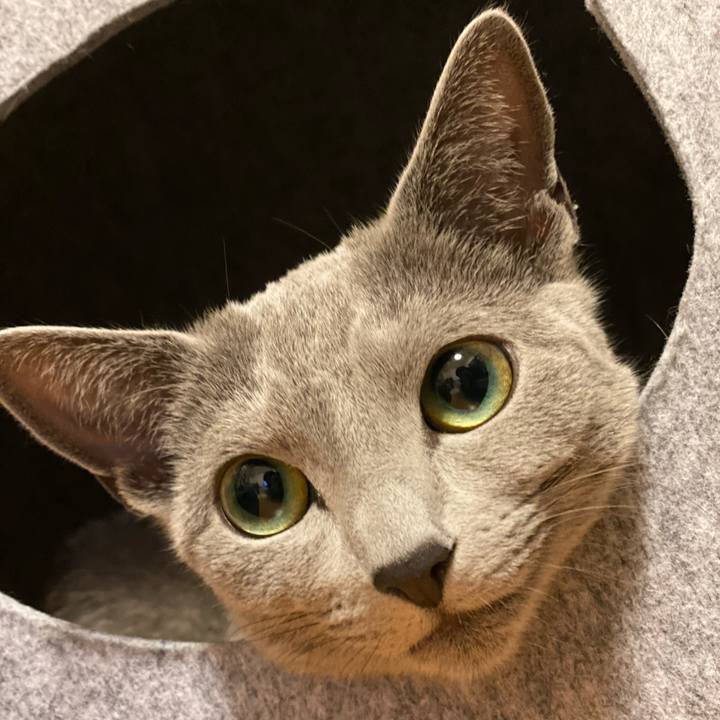 1ee91027 5d7c 4548 a37f a10b4bff8737 1615900731660