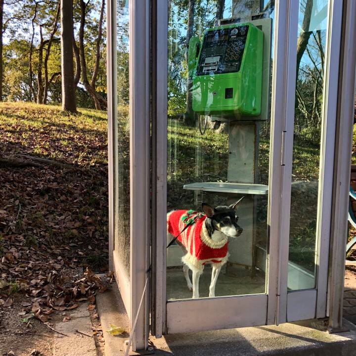 1ee917c1 0411 461d 9665 f0e9e89604e8 1545636857323