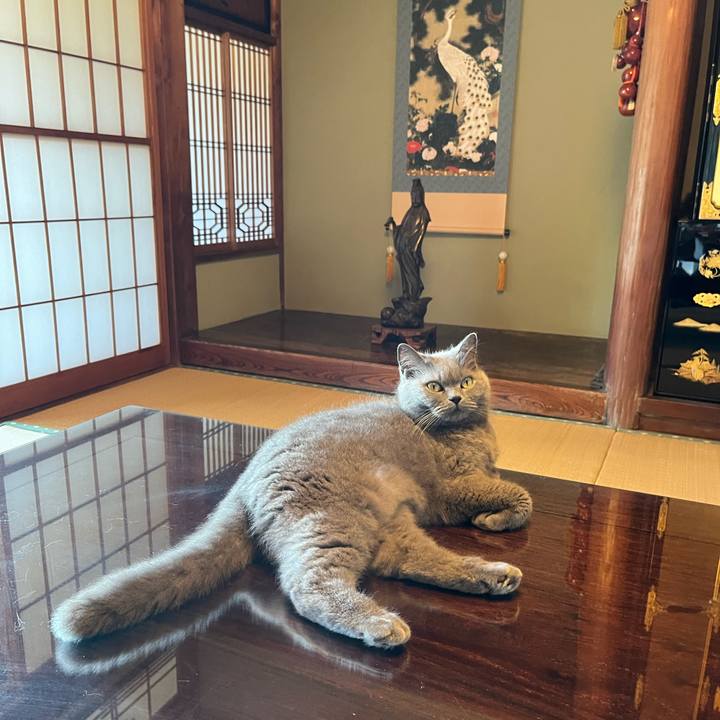 1ee920c6 34ca 4919 988f 9fff85b7514b 1653280031053