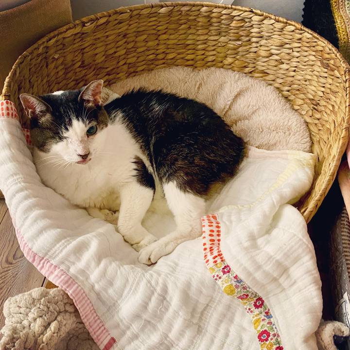 1ee9386d 7af7 4969 9a30 d879294ae37a 1595251854656