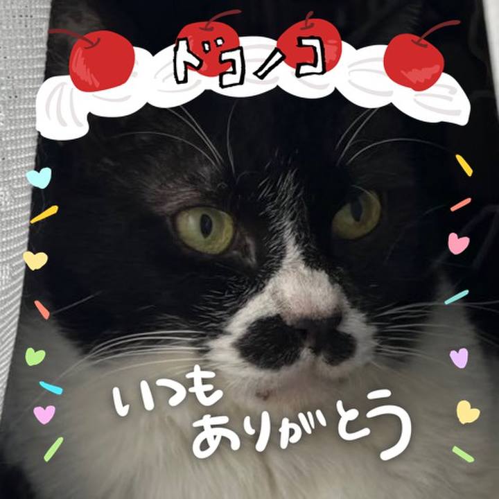 1ee93c4a 3cf0 4df0 927e 2d25bb135ad0 1685966843302