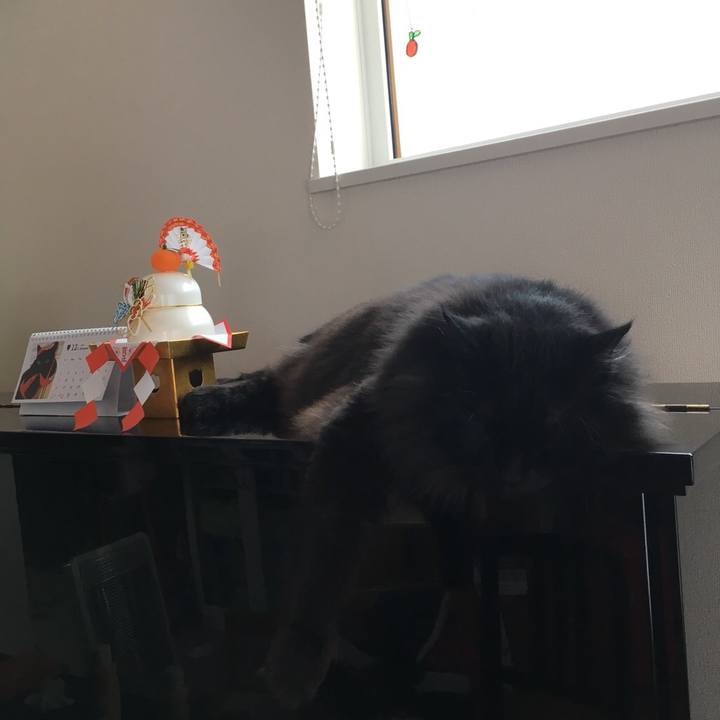 1ee9401a 7786 454d 8d1a dd64c87a857a 1546248140548