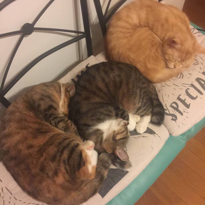 1ee94340 ec9f 46a4 a000 989972ac0050 1572635842690