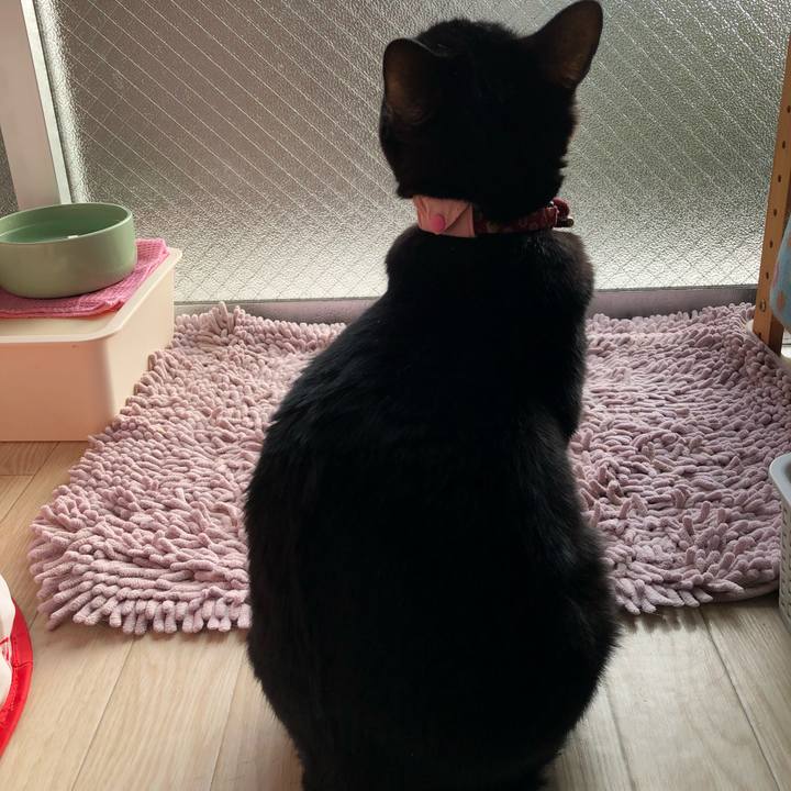 1ee96927 423e 4cd5 ba59 05c1a1b72a4d 1612054816741