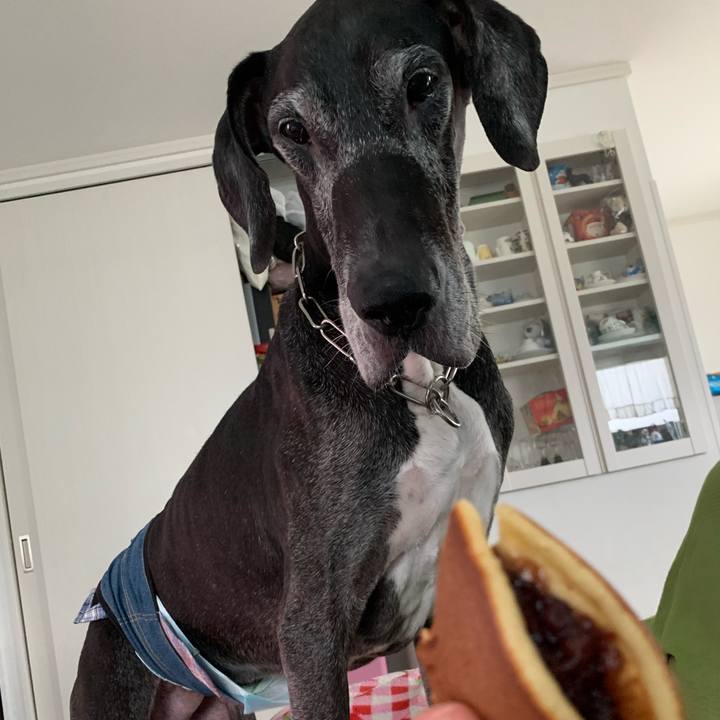 1ee99b23 70f3 42f0 a15e 87bd0bdcc766 1600597388312