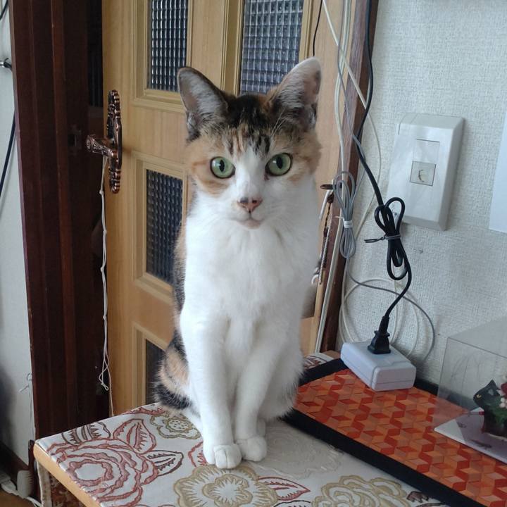 1ee9c6d3 ebb0 4ece 9867 2a295b14b47b 1757813885486