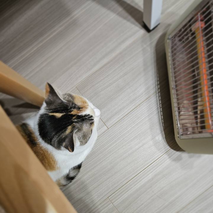 1ee9d707 b48c 4417 905c 5f9c479a91cd 1767523933869