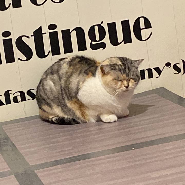 1ee9f1b4 9cc0 4487 9155 a3411cd673a0 1647396617576