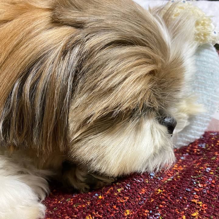 1eea05e2 603b 4fae a7e4 ff03d56b36a4 1607775835664