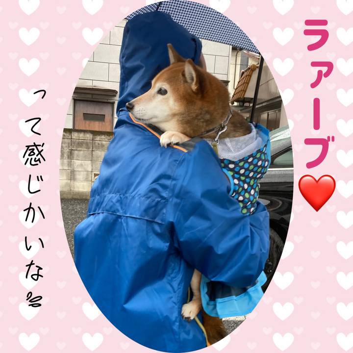 1eea0c7a 11f9 4184 90d1 722763598503 1673845509524