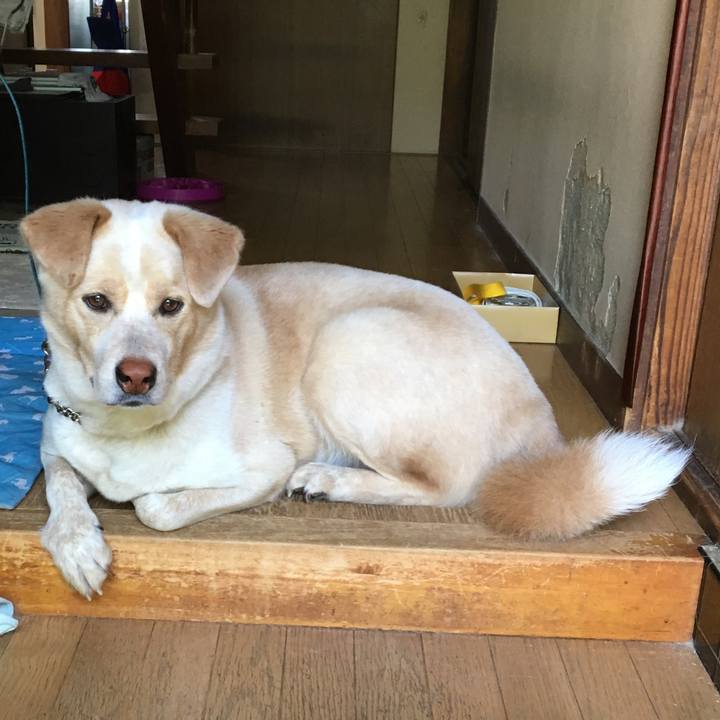 1eea1925 0ef2 4850 80d0 32f8ad29a885 1528083710911