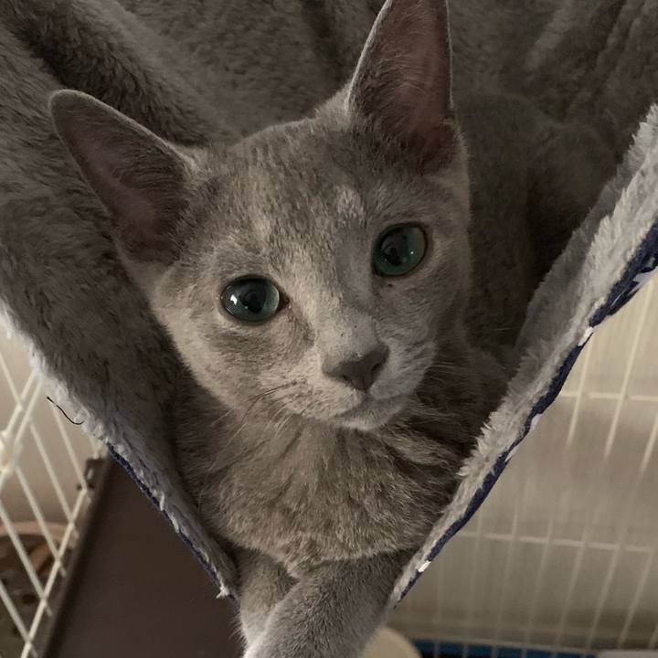 1eea2087 a022 4480 b4d0 143bb6ada171 1574994333094