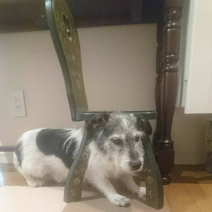 1eea63bc 0976 42fe 8bca 1a85790694f3 1547088292876