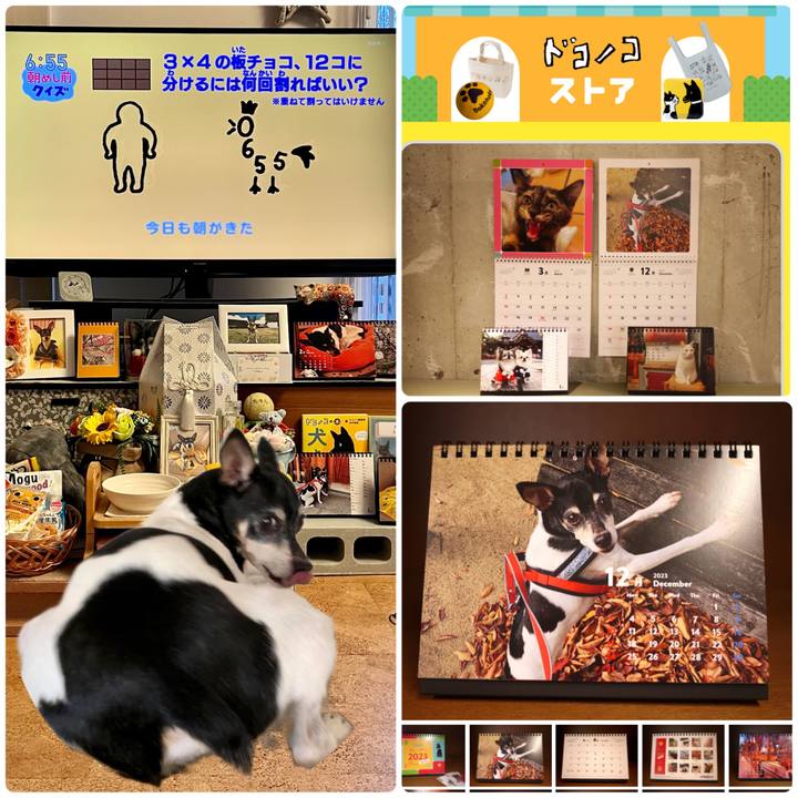 1eeb0834 1bf5 45fc bfa4 748ca0e3d48c 1675807232837